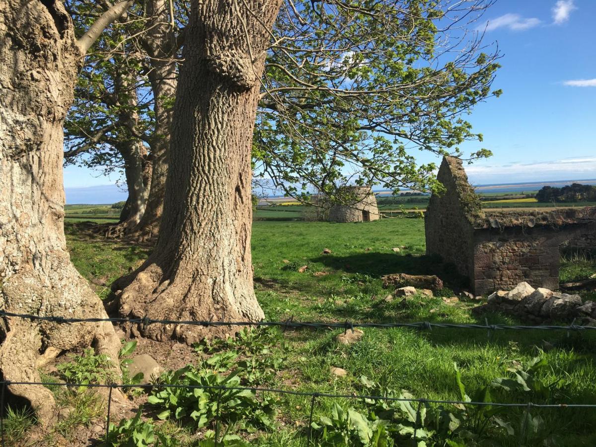 Buckton Farmhouse Belford Extérieur photo